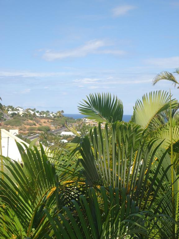 Charmant Studio Saint-Gilles-les Bains Bagian luar foto